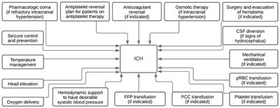 Contribution of Various Types of Transfusion to Acute and Delayed Intracerebral Hemorrhage Injury